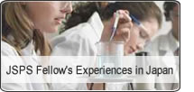 Fellows Experience