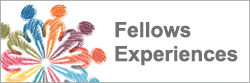 Fellows Experiences