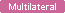Icon_multilateral_2